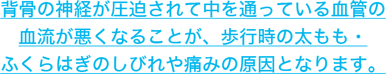 背骨の神経が圧迫されて中を通っている血管の血流が悪くなることが、歩行時の太もも・ふくらはぎのしびれや痛みの原因となります。