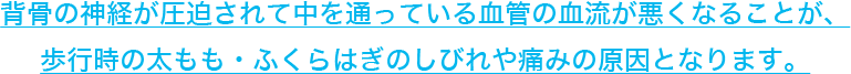 背骨の神経が圧迫されて中を通っている血管の血流が悪くなることが、歩行時の太もも・ふくらはぎのしびれや痛みの原因となります。